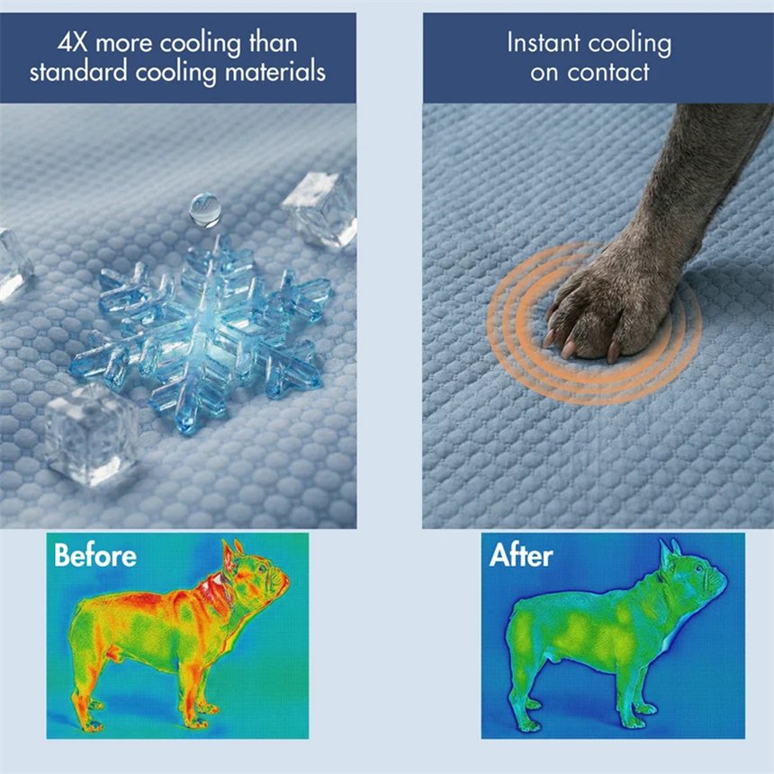 Thermal camera comparison of a dog before and after using the Pawlax cooling mat